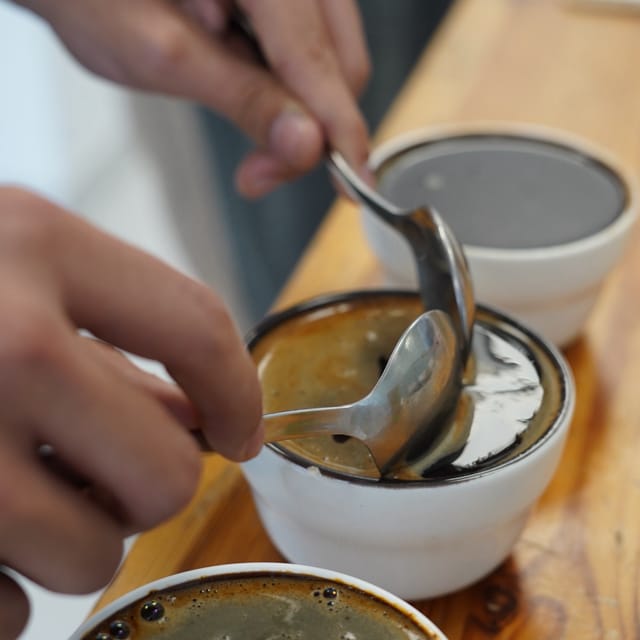 Koppar med kaffe vid en provsmakning